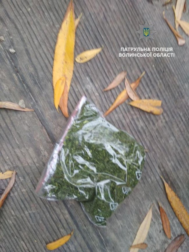 У Луцьку піймали чоловіків з «наркотою». ФОТО