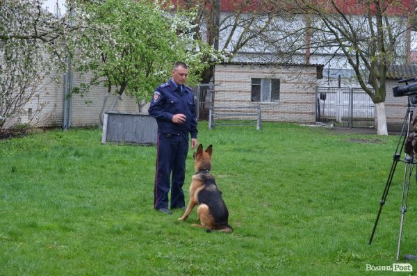 Як живуть та тренуються службові собаки. ФОТО