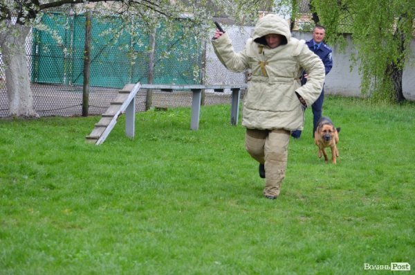 Головне завдання Джолі - вибити зброю із рук 