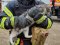 У зруйнованому росіянами будинку у Вовчанську рятувальники зі смертельної пастки звільнили котика