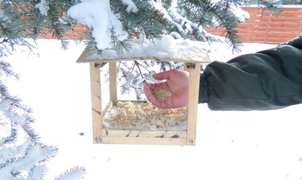 Лісівники і дітлахи на Волині виготовили сотні годівничок