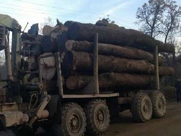 На Рівненщині колода з вантажівки випала в лобове скло маршрутки. ВІДЕО