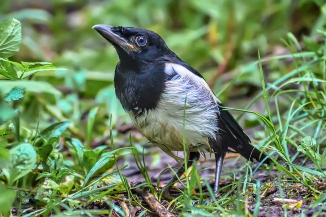 Романтика Луцька: фото, які «зробили день»