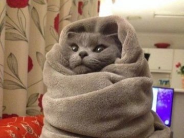 Якою буде погода в Луцьку у четвер, 4 жовтня