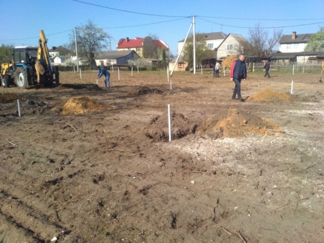 Сливи, персики, груші: мешканці волинського селища відновили фруктовий сад. ФОТО