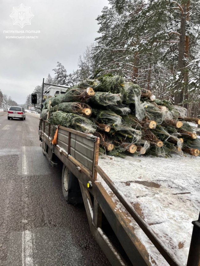 На Волині патрульні затримали вантажівку із «підпільними» ялинками