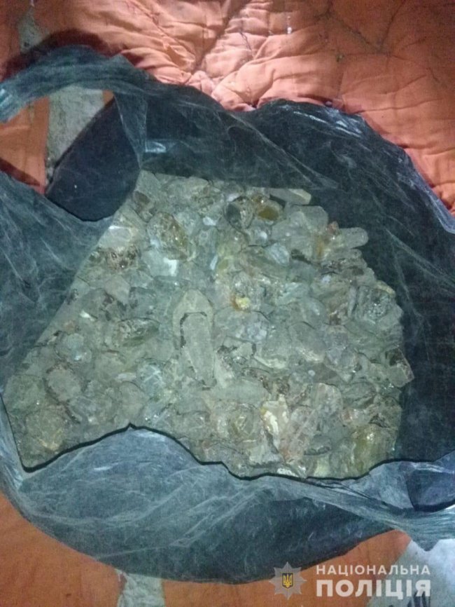 Правоохоронці вилучили бурштину майже на 3 мільйони гривень. ФОТО