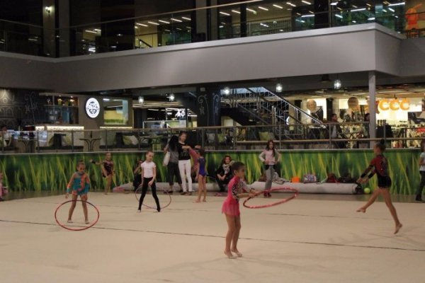 У Луцьку відбувся Кубок міста з художньої гімнастики. ФОТО