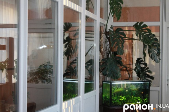 Показали, як «живе» креативна сільська школа на Волині. ФОТО