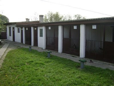 Ковельські кінологи визнані найкращими в Україні 