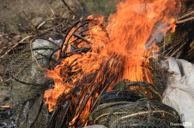 У нацпарку на Волині знищили рибальські знаряддя браконьєрів. ФОТО