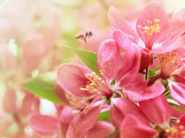 Погода в Луцьку та Волинській області на завтра, 24 травня