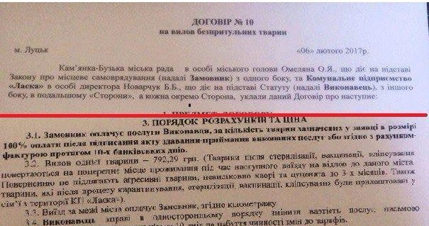 У Луцьку не дорахувалися собак, яких привезли на «Ласку» з Львівщини