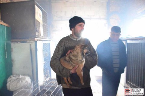 У Луцьку не дорахувалися собак, яких привезли на «Ласку» з Львівщини
