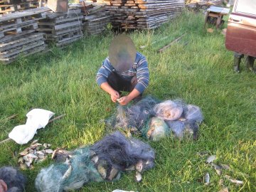 За добу браконьєри на Волині завдали шкоди на 30 тисяч гривень