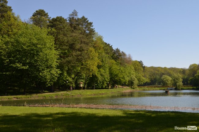 Експрес-подорож областю: на Волині – лісівники з усієї країни. ФОТО