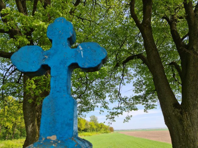 У Підгайцівській громаді впорядкували історичну локацію. ФОТО