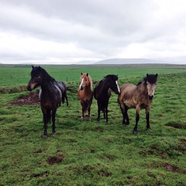 Ісландія в Instagram. ФОТО