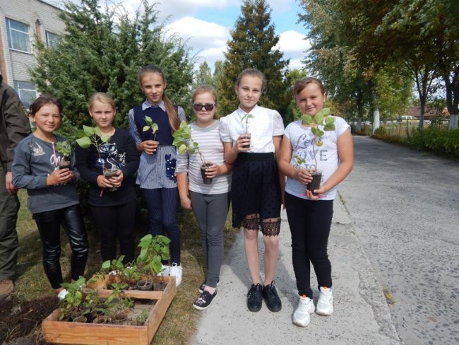 Зростаємо разом: на Волині учні висадили дерева на території школи. ФОТО