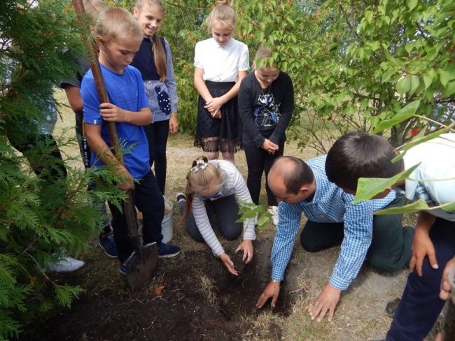 Зростаємо разом: на Волині учні висадили дерева на території школи. ФОТО
