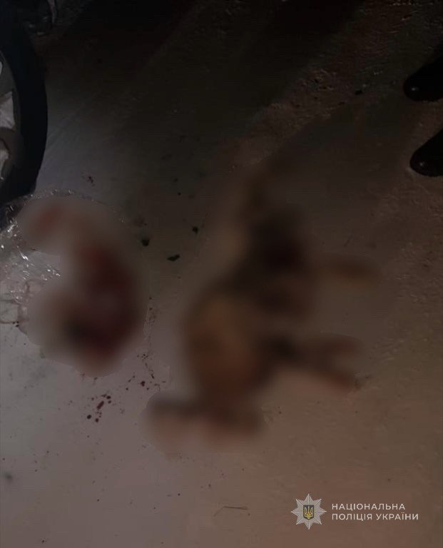 200 доларів - аби уникнути покарання: волинянин незаконно вполював зайця та козу