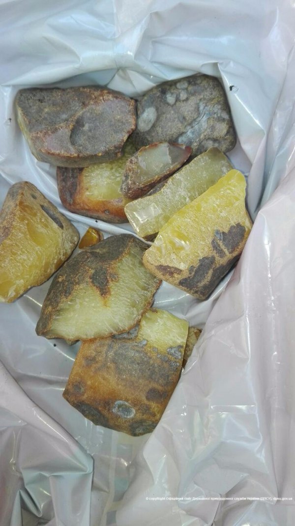 Разом з бурштином у чоловіка вилучили авто вартістю майже в 300 тисяч. ФОТО. ВІДЕО