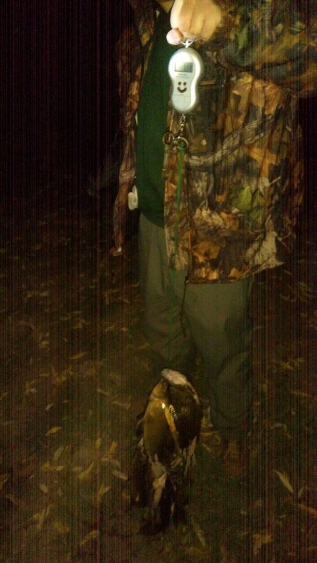 Спіймали двох волинян, які ловили рибу в заказнику