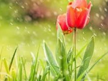  Погода в Луцьку та Волинській області на середу, 6 травня