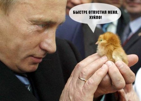 «Путін ‒ ху*ло»: кращі фотожаби