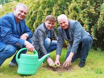 У селі Чаруків висадили алею павловній