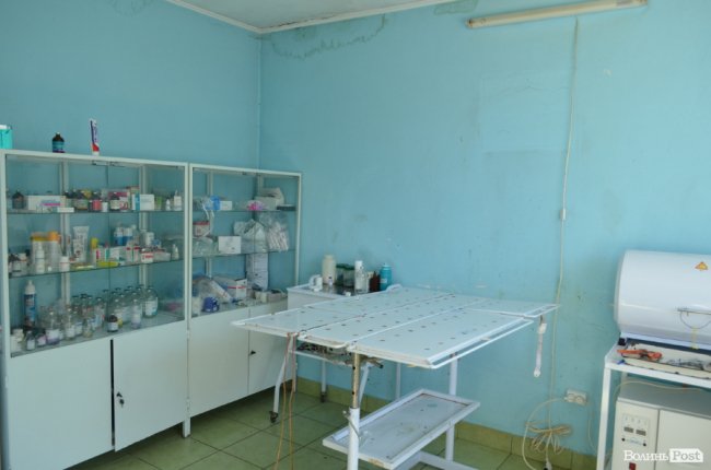 Показали умови, у яких живуть тварини в луцькій «Ласці». ФОТО