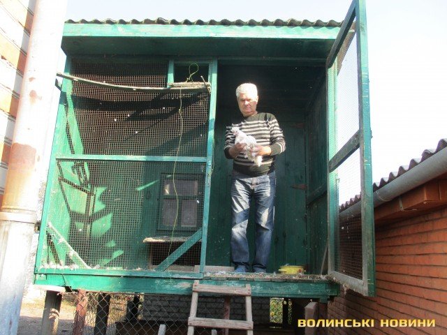 Волинянин вирощує екзотичних птахів. ФОТО