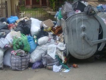 Мешканці луцької вулиці нарікають на сморід від сміття