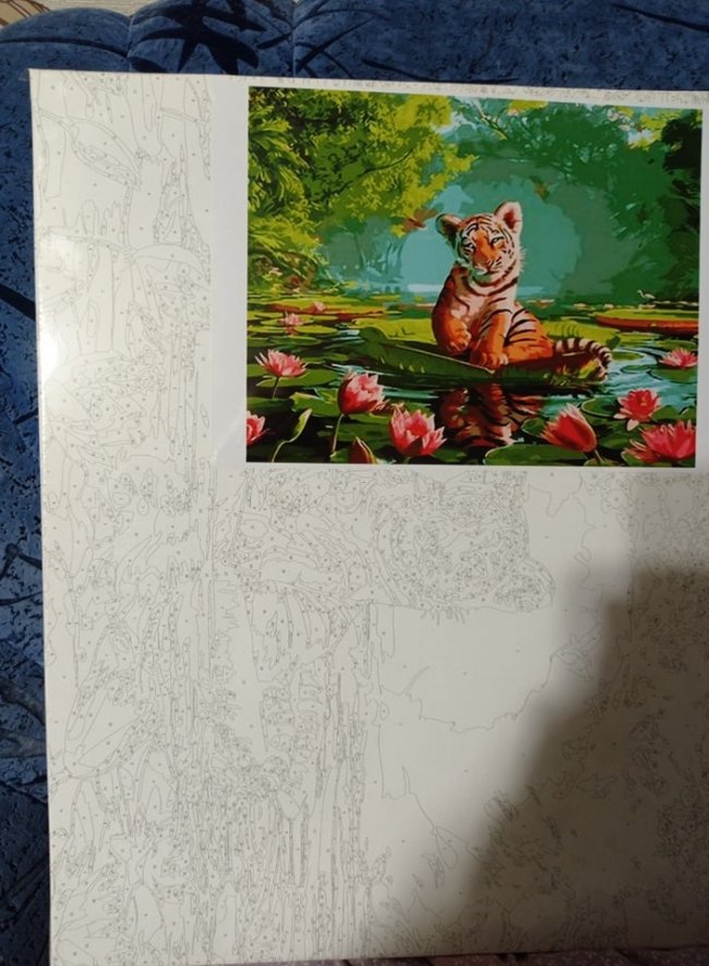 9-річна волинянка продає свої картини, щоб допомогти онкохворій тітці