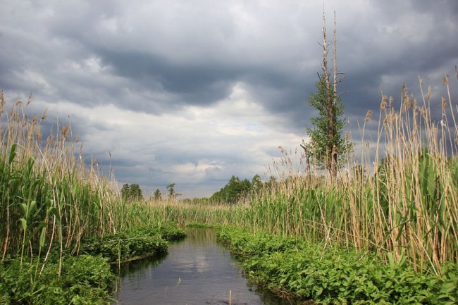 Волинський фотограф показав красу «високої води» річки Стохід. ФОТО