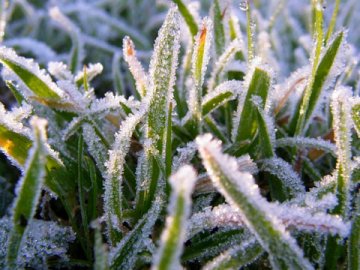 До України йдуть заморозки: в яких регіонах очікувати мінусову температуру