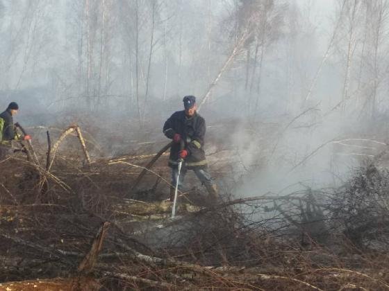 У селі на Волині горіли торфовища. ФОТО