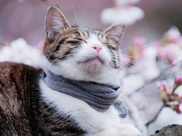 Погода у Луцьку та Волинській області на четвер, 18 березня