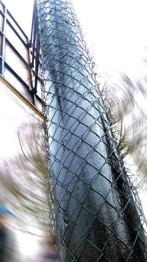 У Луцьку з рекламою борються за допомогою металевої сітки. ФОТО