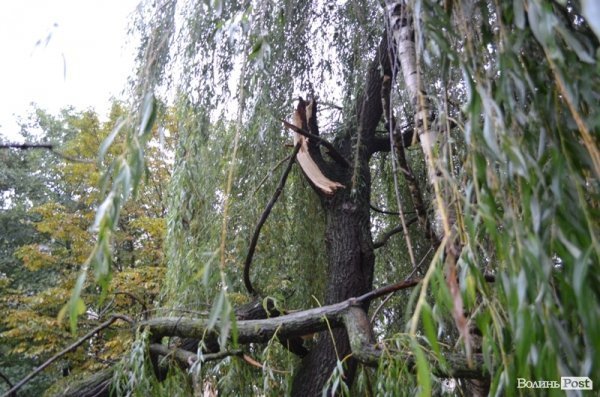 Як топило спальні райони Луцька. ФОТО