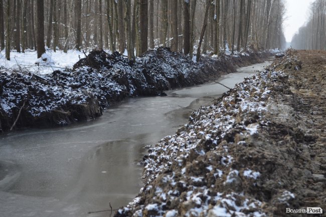 Лісівники показали, як підкорюють волинські джунглі. ФОТО