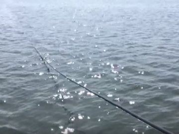 Прикордонники знайшли підводний спиртопровід з Молдови в Україну