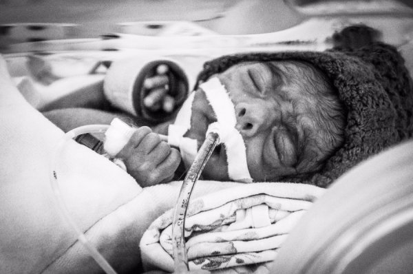 Фото від луцьких волонтерів – серед переможців конкурсу про благодійність