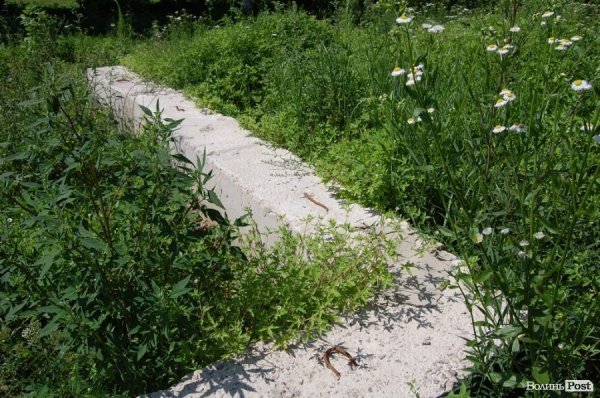 Чиновники перевірили якість життя на селі під Луцьком. ФОТО