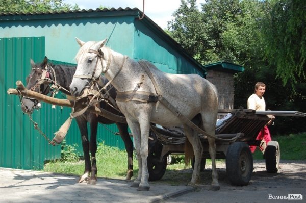 Чиновники перевірили якість життя на селі під Луцьком. ФОТО
