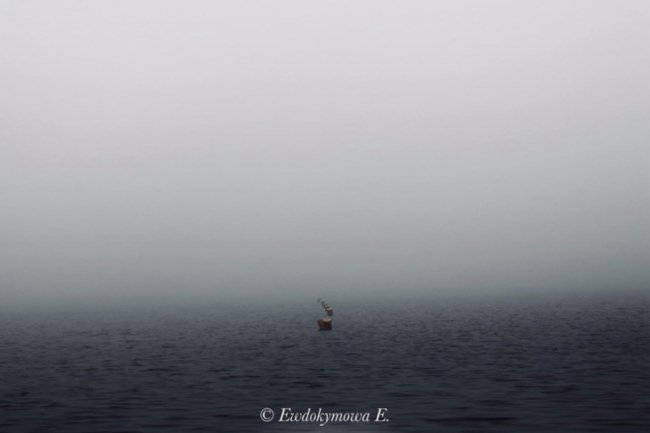 Магічна краса волинського озера, закутаного у туман. ФОТО 