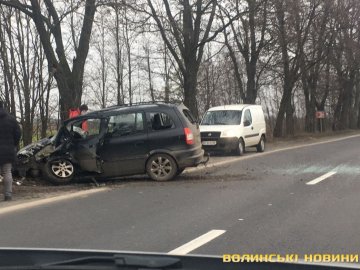 Аварія на Волині: легковик врізався у дерево