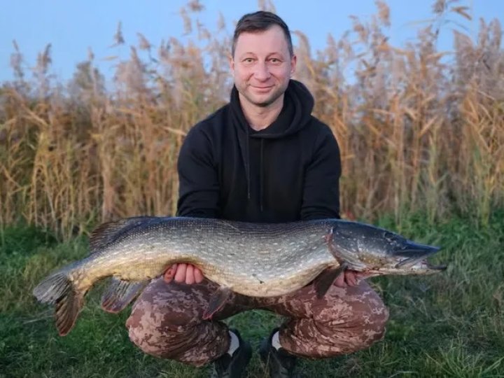 На Волині рибалка упіймав гігантську щуку