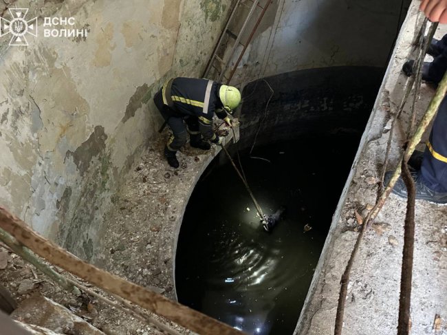 На Волині рятувальники дістали собаку із каналізаційної ями