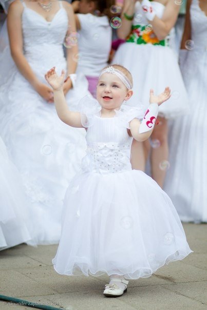 Переможці Параду наречених в Луцьку. ФОТО